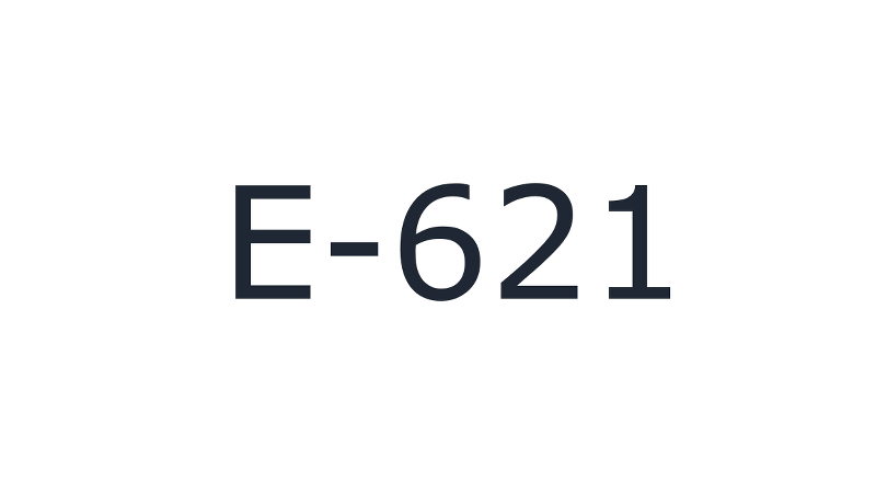 MSG E 621 MSG E 621